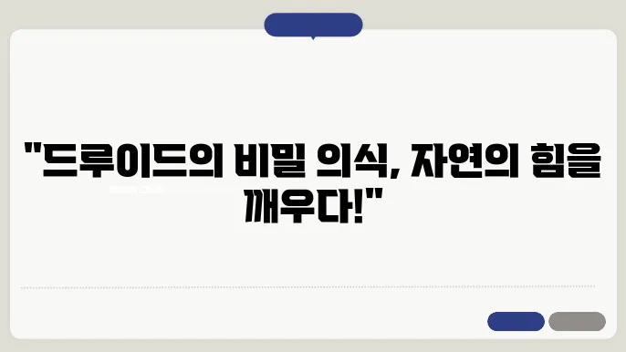 드루이드와 자연 숭배