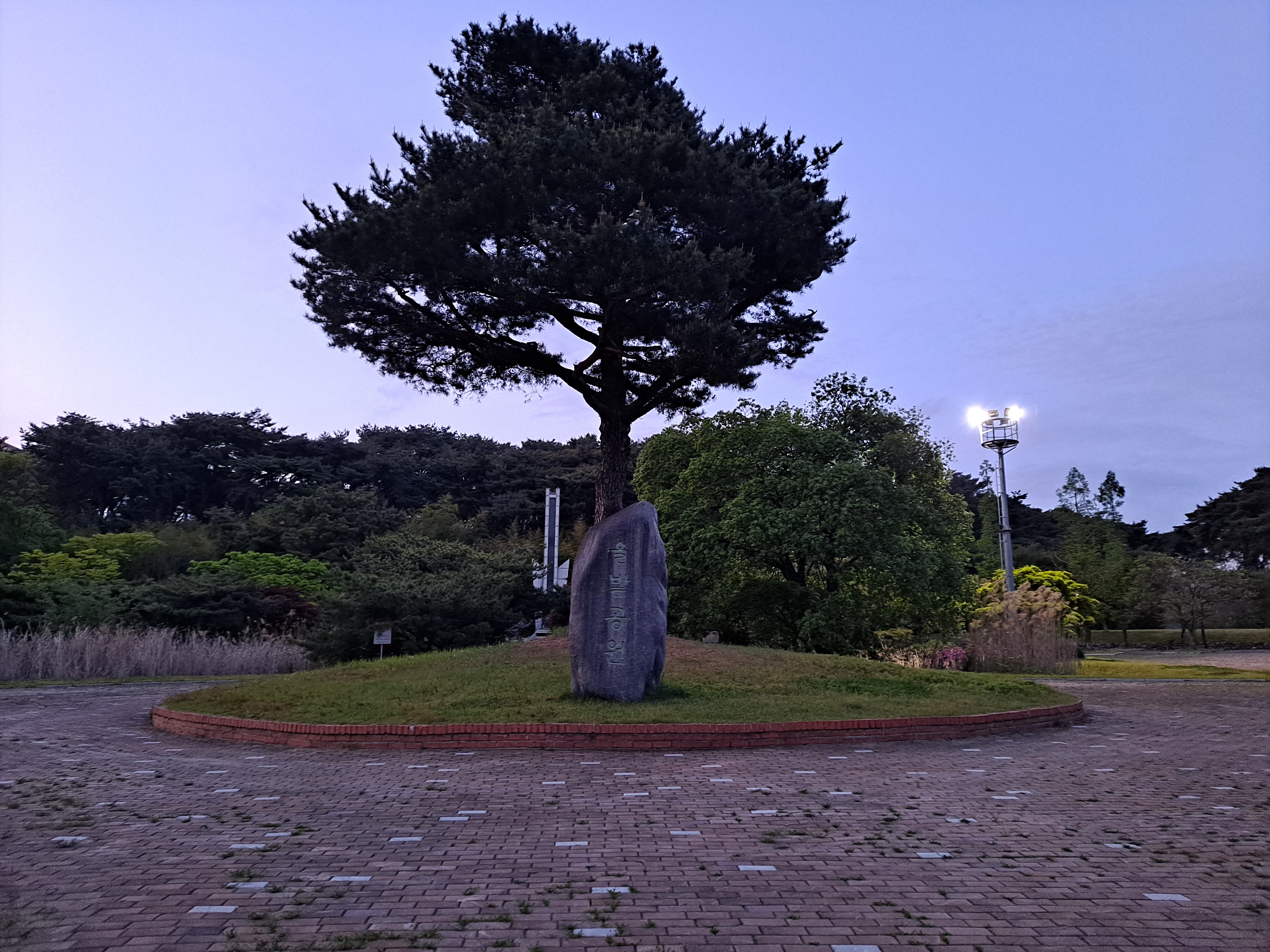  청주자랑 100가지, 청주솔밭공원
