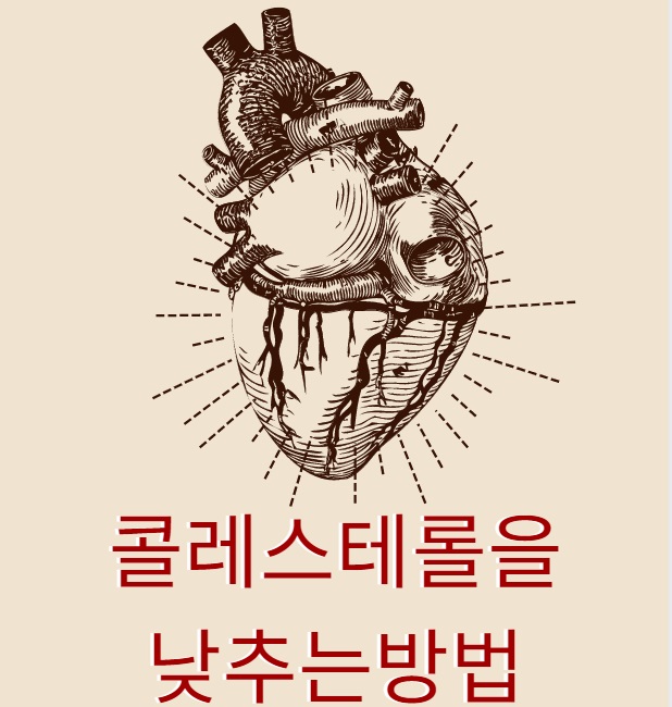 콜레스테롤을 낮추는방법