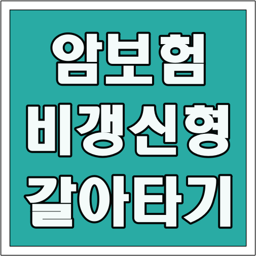 암보험 비갱신형 갈아타기 글씨 썸네일