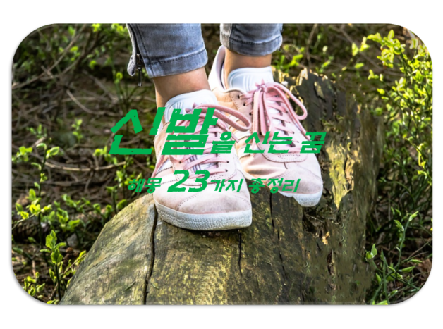  신발꿈 해몽 23가지 총정리