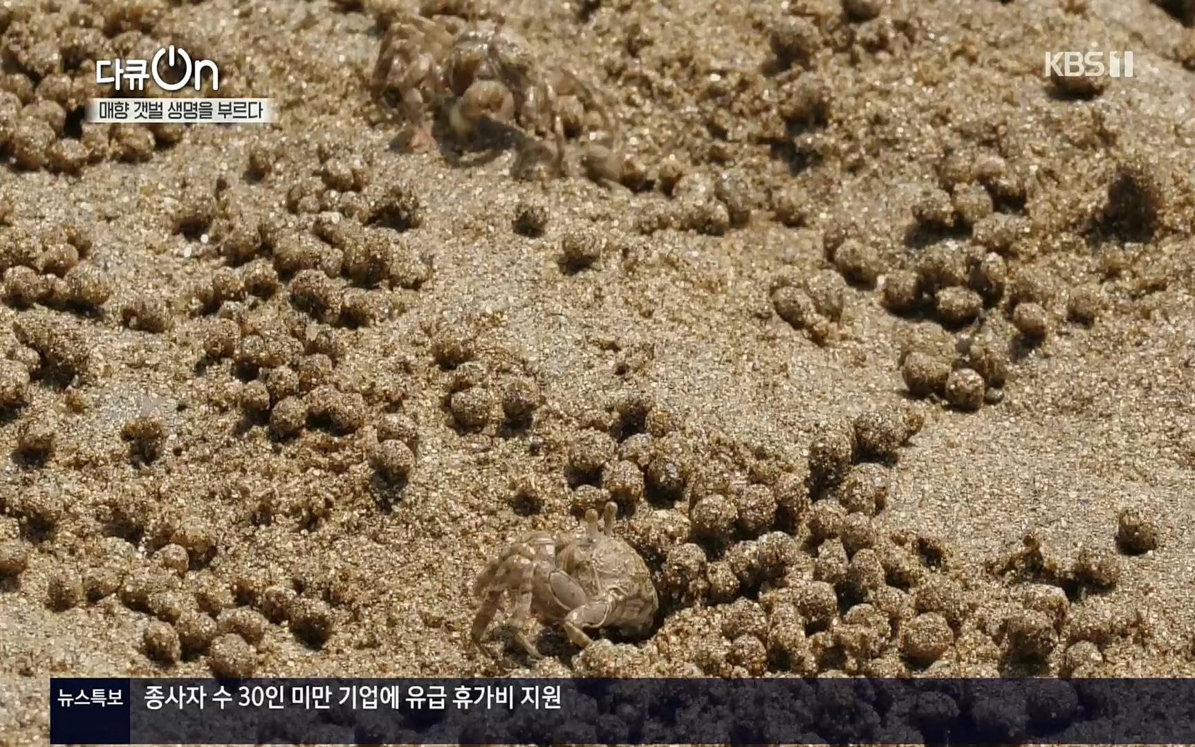 다큐 On.E151.220805p.H264-F1RST.mp4_20220806_193404.038.jpg