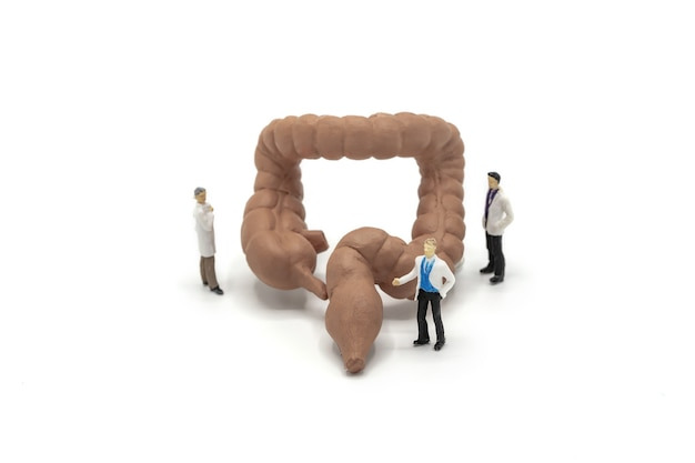 흡수장애-원인&amp;#44;-증상&amp;#44;-치료방법