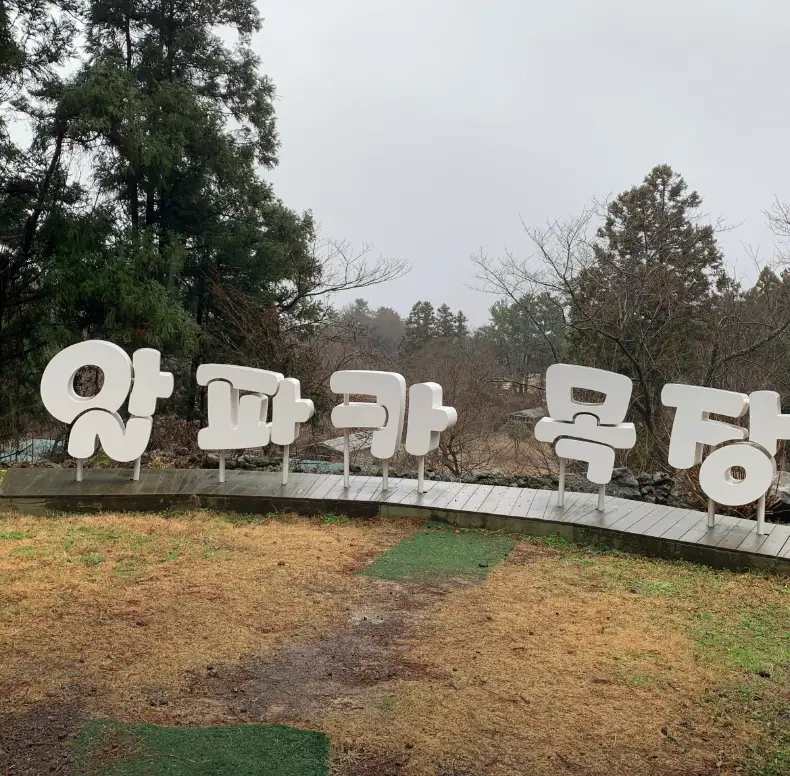 알파카목장