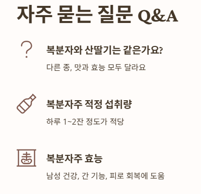 자주 묻는 질문 Q&amp;A