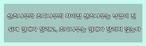  산초나무와 초피나무의 차이점 산초나무는 낙엽이 진 뒤에 열매가 달리고, 초피나무는 열매가 달리지 않는다