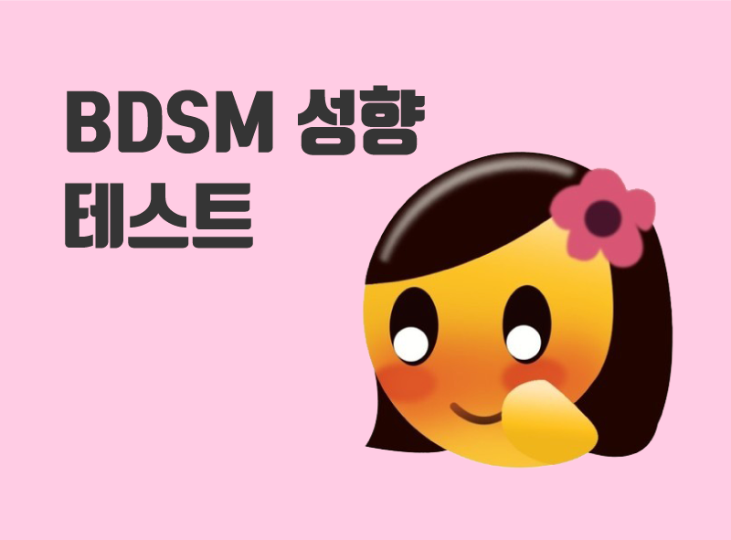  BDSM 테스트 / 성향 파악