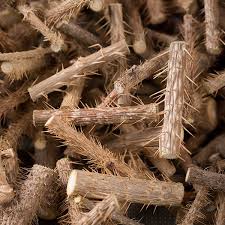 가시오가피의 12가지 장점 34