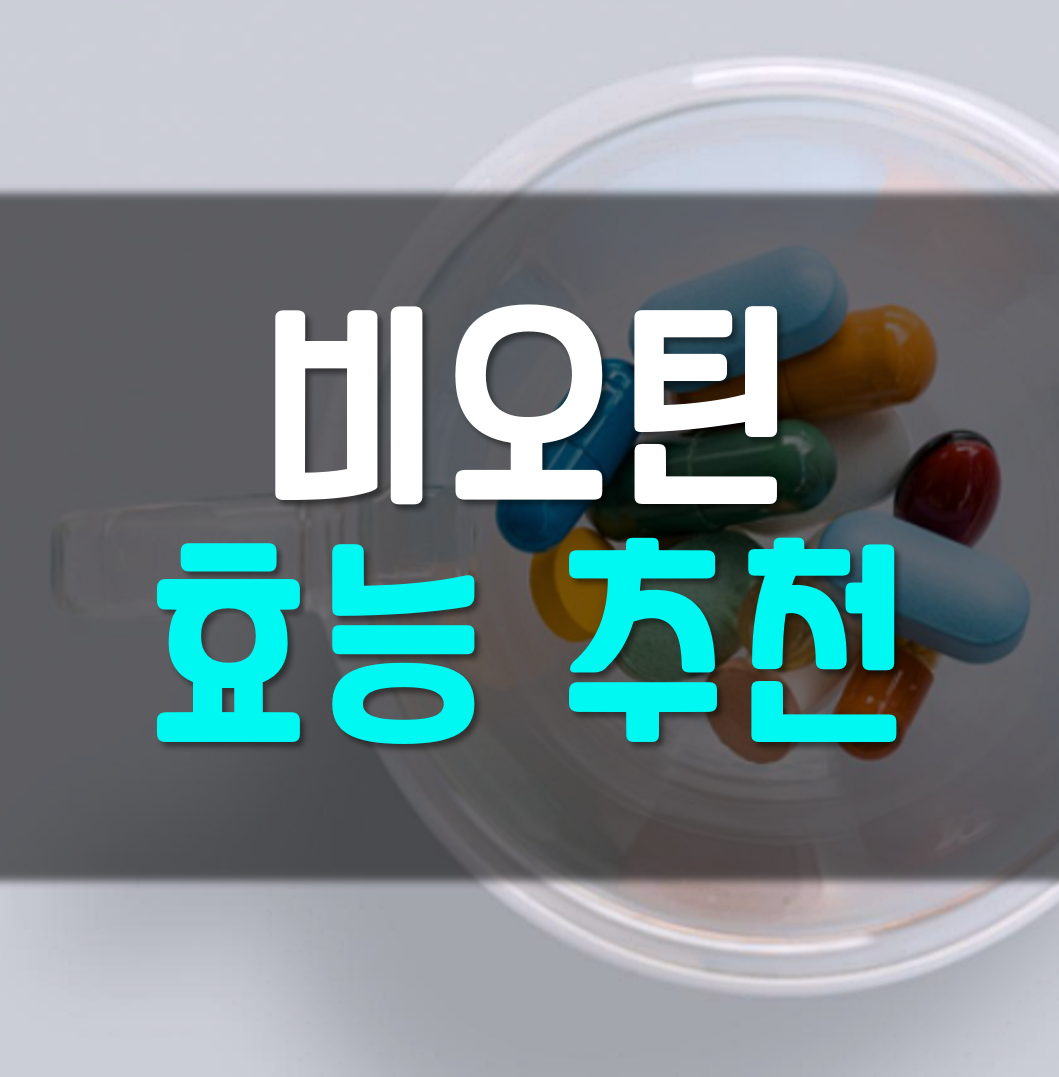  비오틴 효능 추천