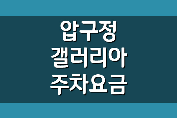  서울 압구정 갤러리아 백화점 명품관 주차 요금