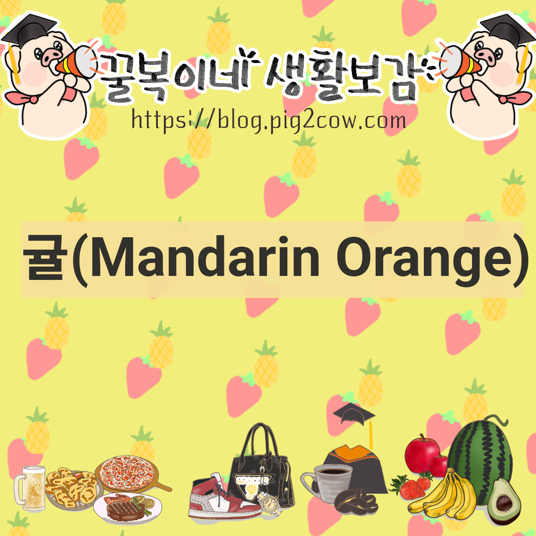  귤 영양소 성분 효능 주의사항(Mandarin Orange)
