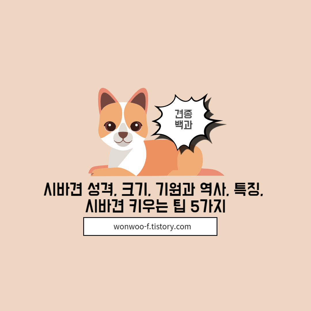 시바견 성격&#44; 크기&#44; 기원과 역사&#44; 특징&#44; 시바견 키우는 팁 5가지