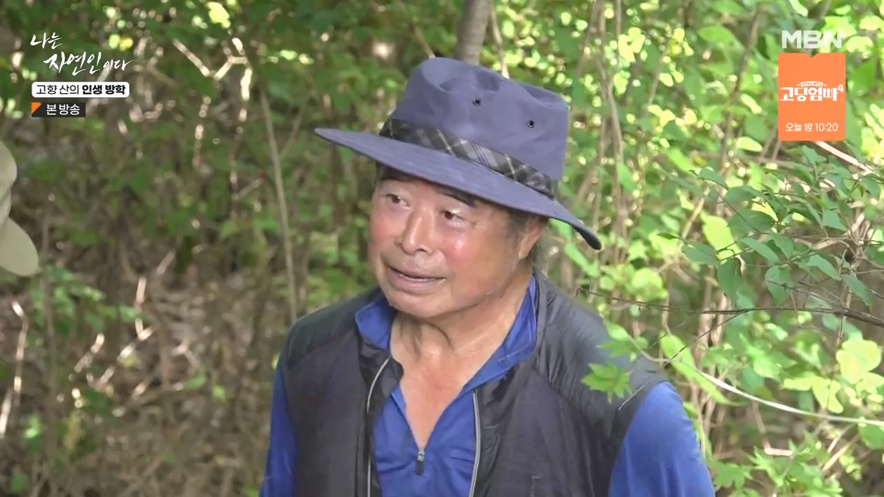 나는 자연인이다.E568.230824p-NEXT.mp4_20230824_203249.164.jpg