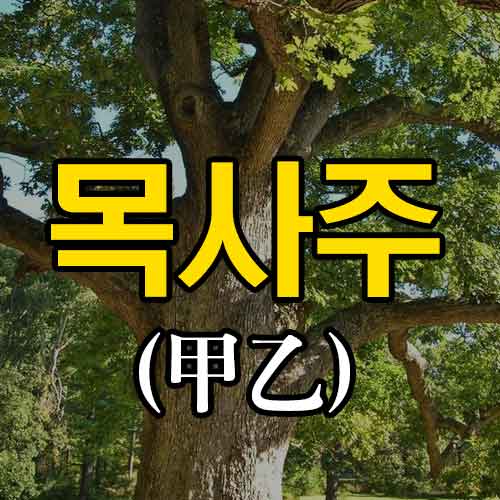 목사주 - 갑을