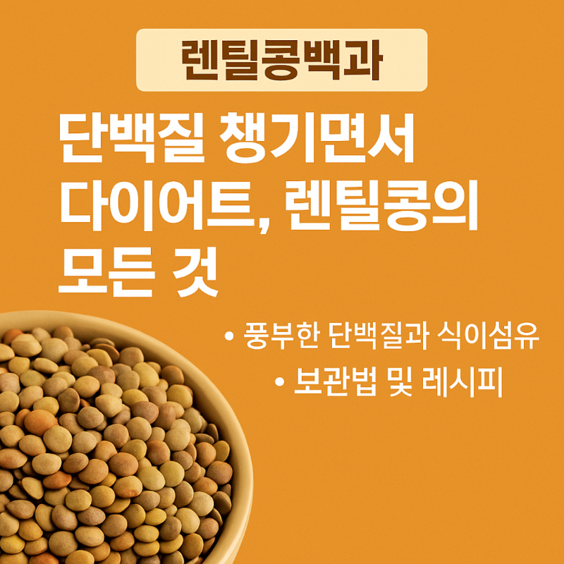 렌틸콩백과: 단백질과 다이어트를 동시에 챙길 수 있는 렌틸콩의 모든 것을 소개하는 썸네일