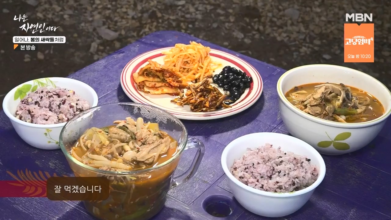 나는 자연인이다.E593.240215p-NEXT.mp4_20240215_200736.984.jpg