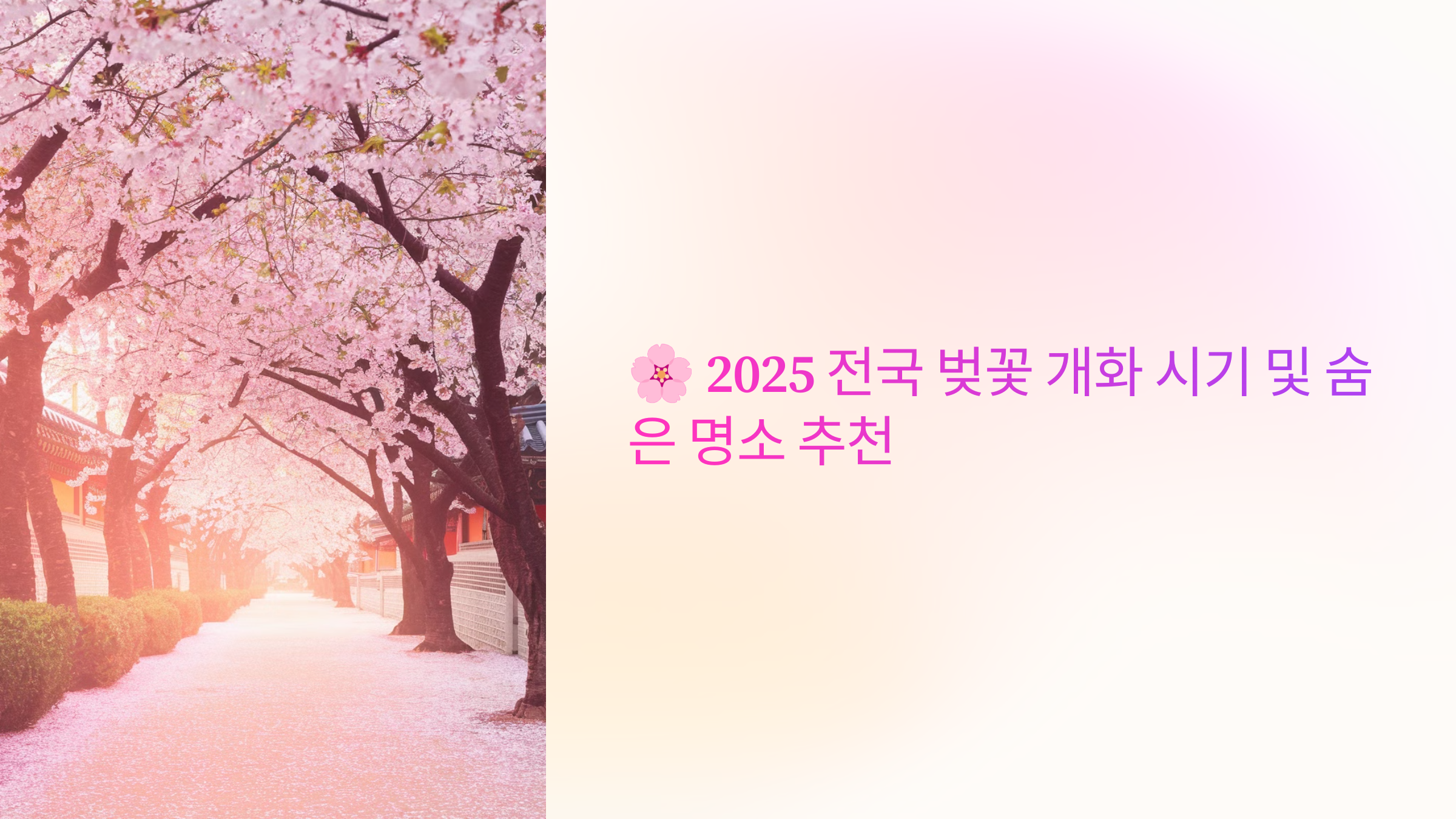 🌸 2025 전국 벚꽃 개화 시기 및 숨은 명소 추천