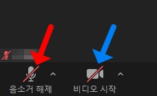 줌의 마이크와 비디오 온오프 버튼