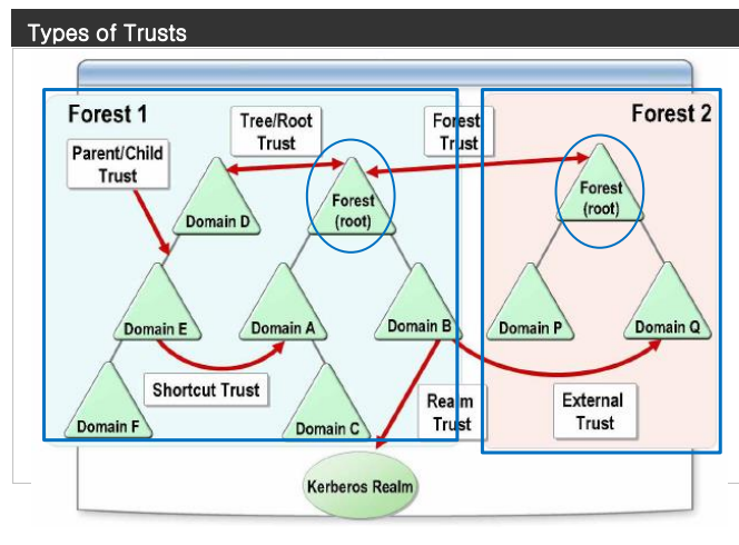 types of Trushts
forest tree