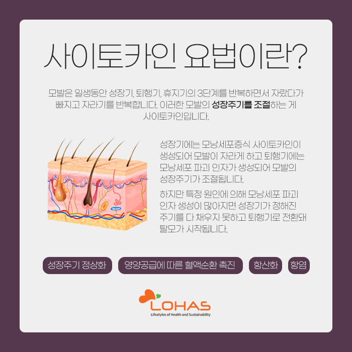 저마다 이미지