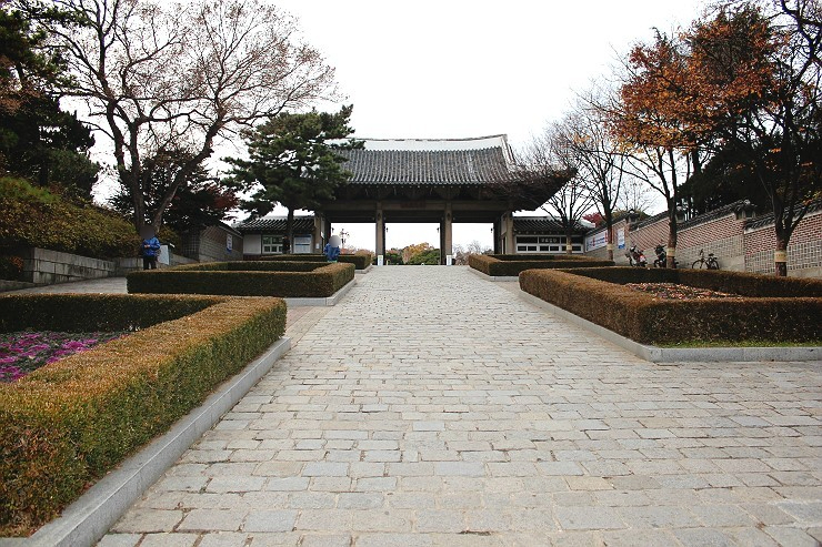 영천 가볼만한곳 베스트10 대구여행 가볼만한곳 팔공산 5