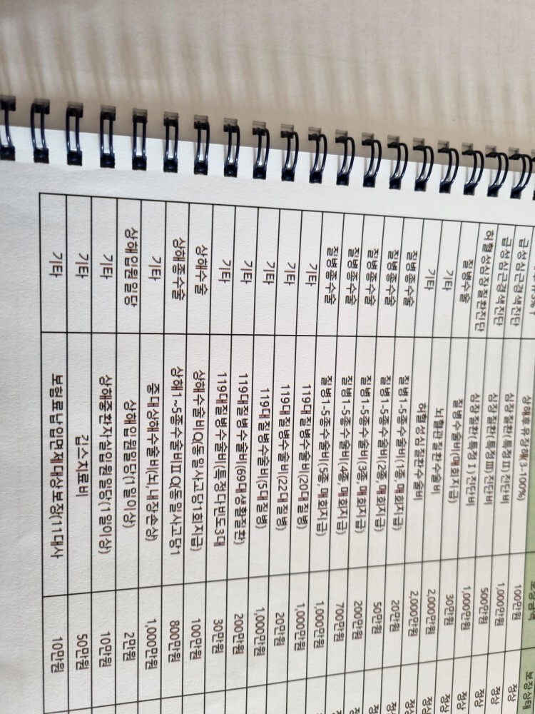  자궁및질출혈 보험청구