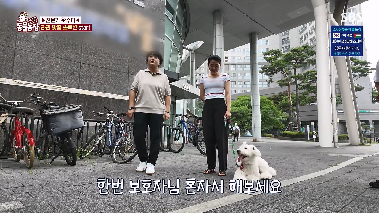 TV 동물농장.E1187.240902p-NEXT.mp4_20240901_155456.986.jpg