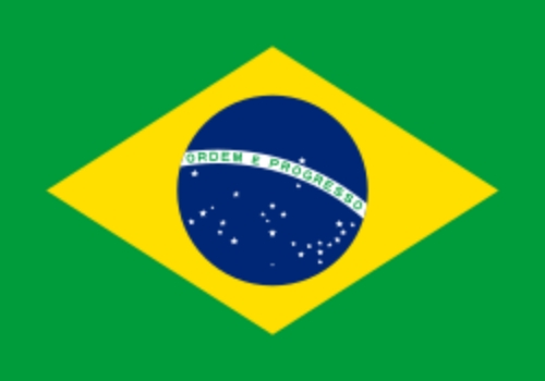 브라질 군사력