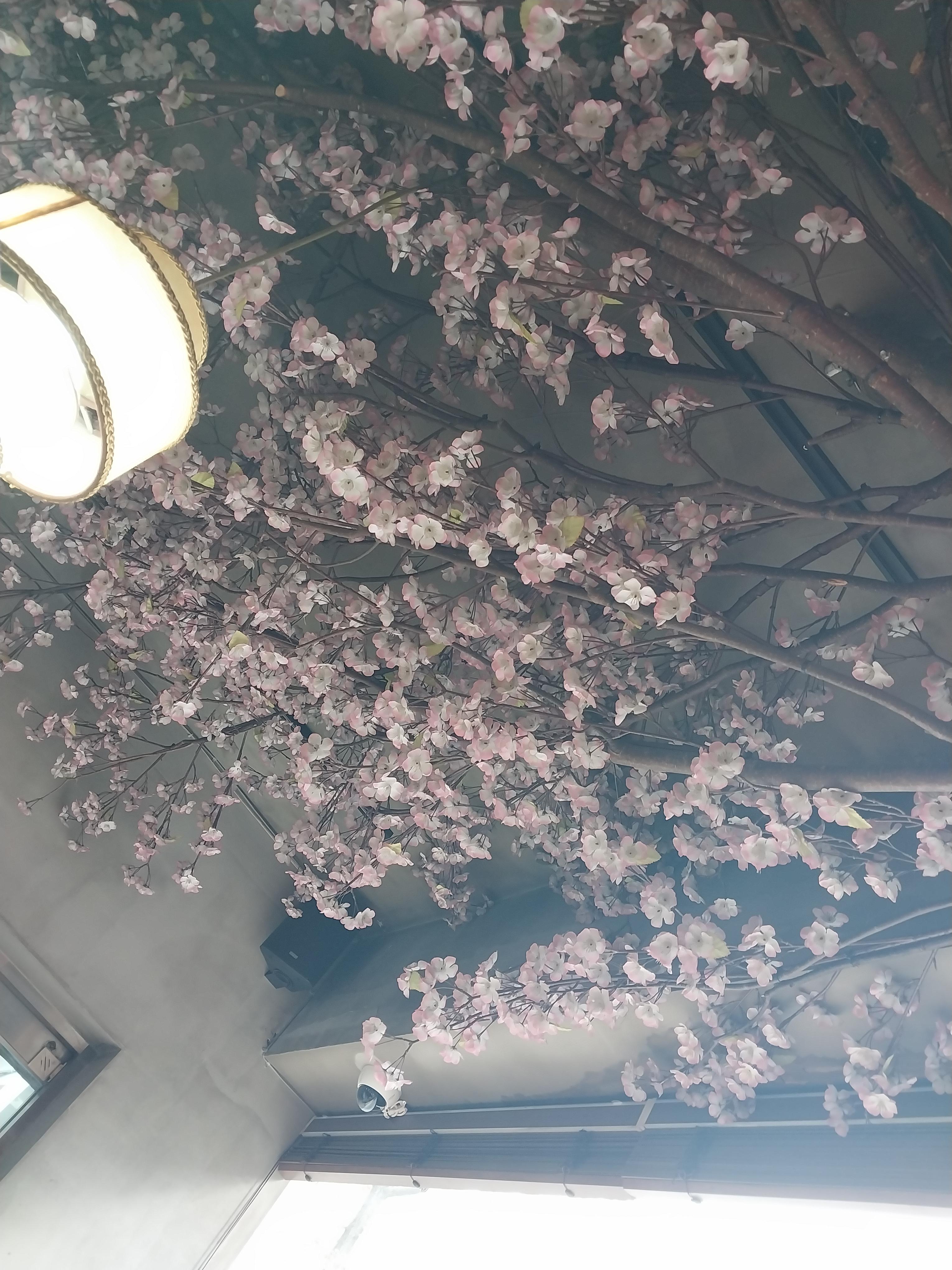 충칭우육면 이미지