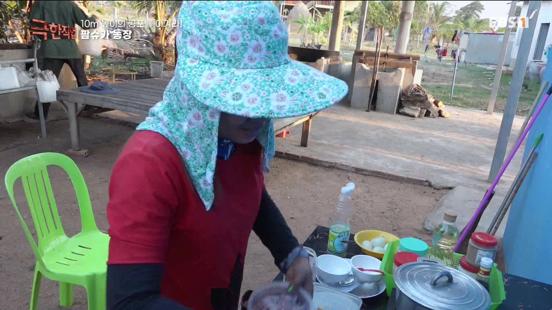 [극한 직업] 캄보디아 팜슈가 농장 230624.mp4_20230701_185231.058.jpg