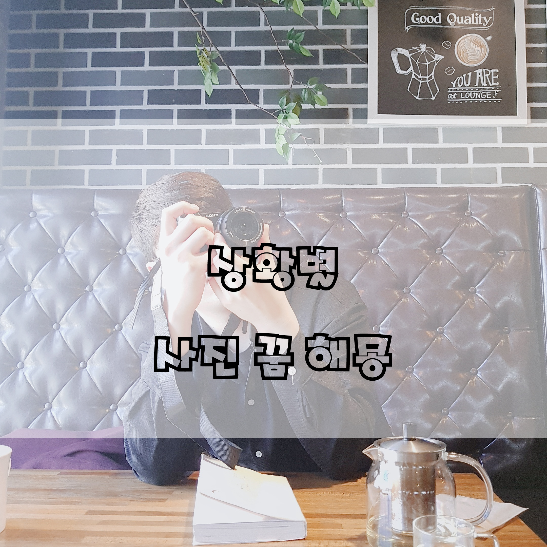  사진 꿈 해몽