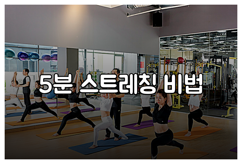 5분 스트레칭 비법