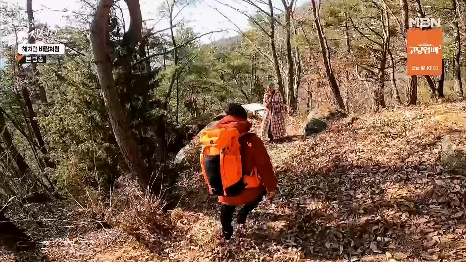 나는 자연인이다.E542.230222p.H264-F1RST.mp4_20230223_195842.474.jpg