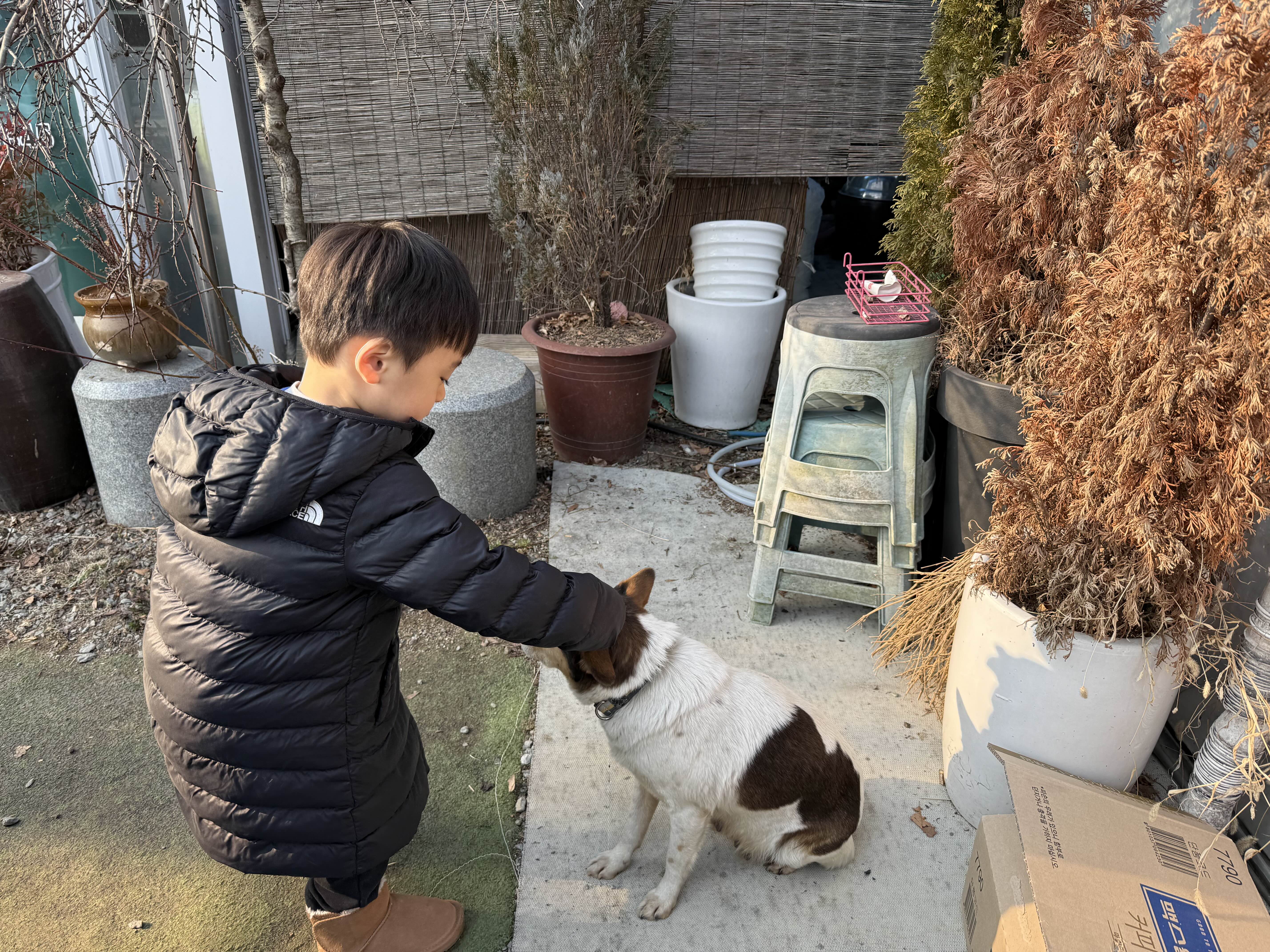 복사골 5