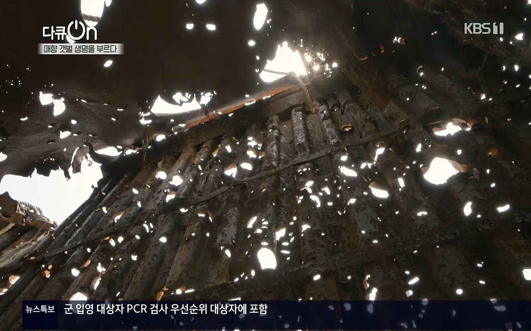 다큐 On.E151.220805p.H264-F1RST.mp4_20220806_193402.822.jpg