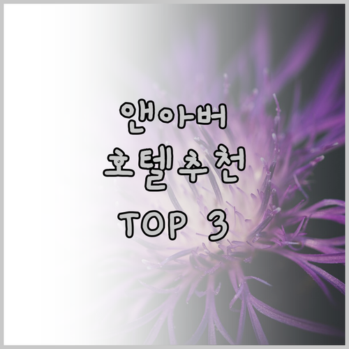 앤아버 호텔 추천 3곳 가격, 위치,