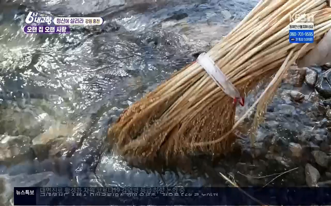 6시 내고향.E7501.220332p.H264-F1RST.mp4_20220402_201649.729.jpg