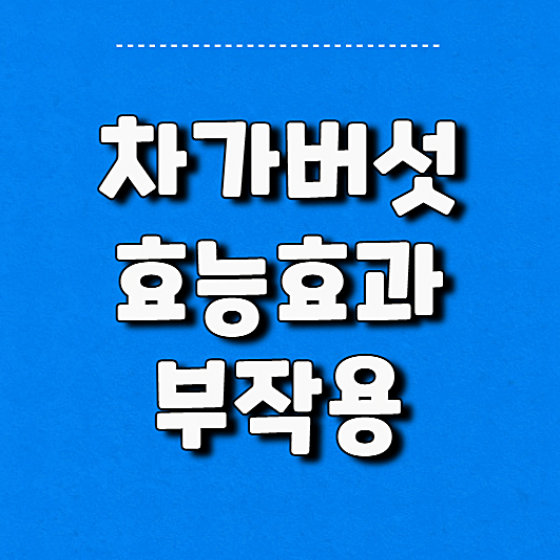 차가버섯 효능