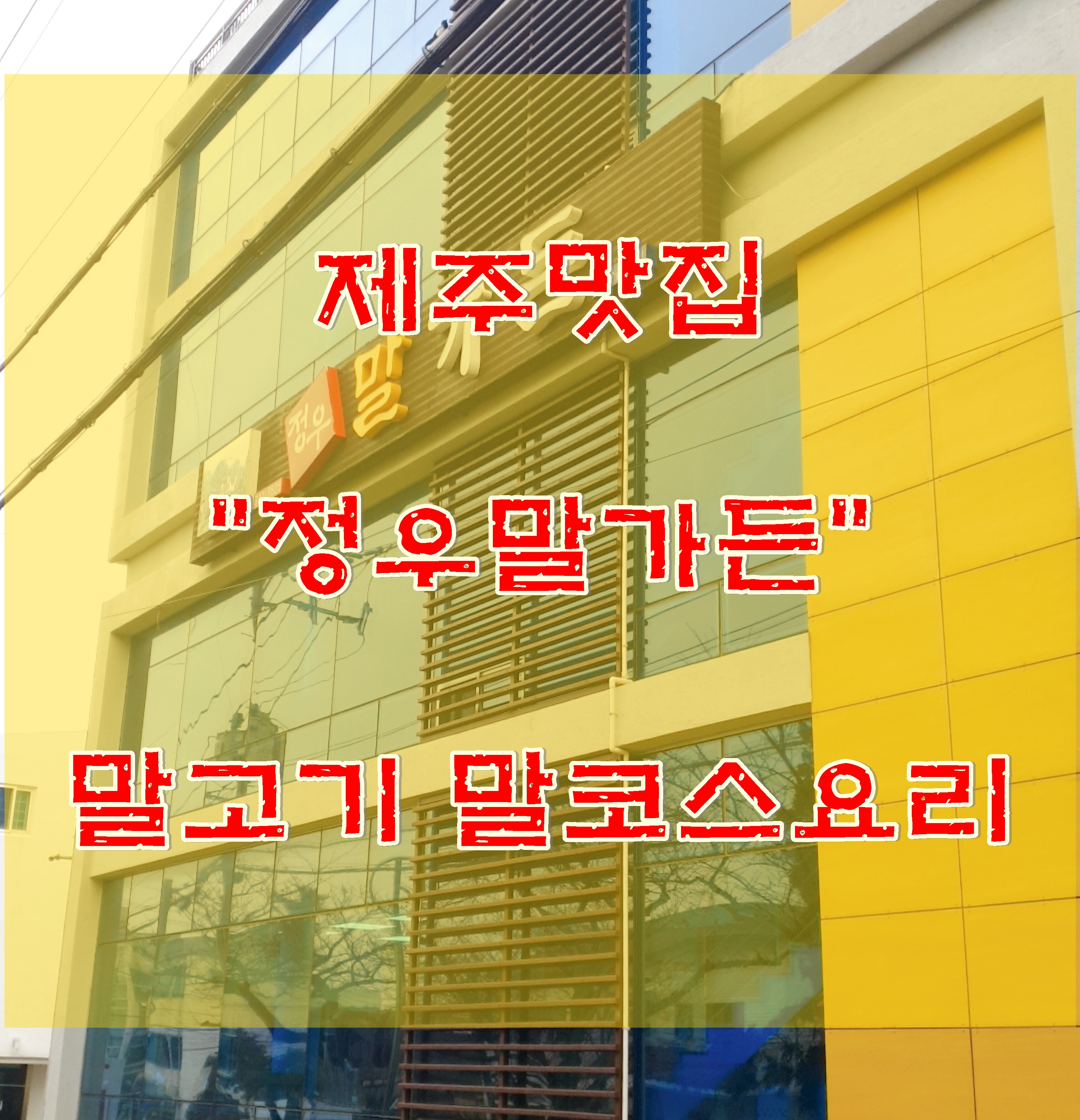  [제주]제주맛집 말고기 맛집, 국내산 말 코스 요리 추천 '정우말가든' 말육회 사시미 맛집, 제주만의 특별한 한상 추천