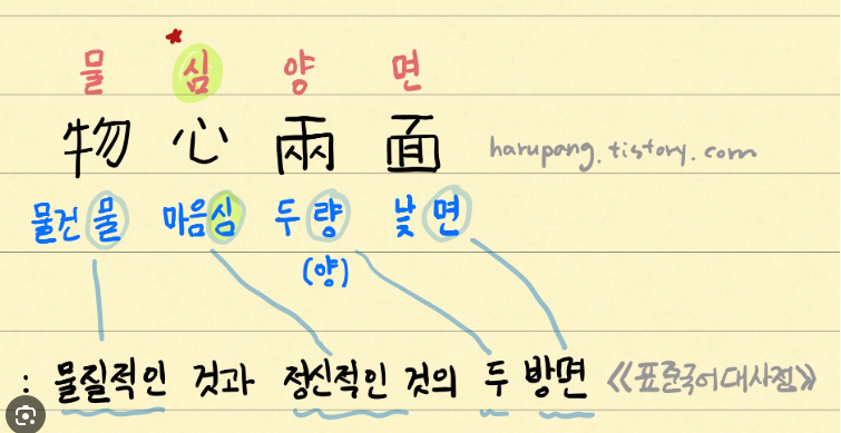 물심양면