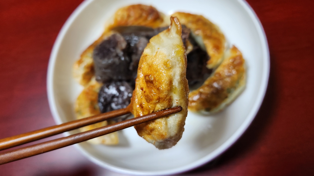분식 매니아들이 좋아할만한 미미제면소의 고기 만두 김치 만두 - undefined - undefined - 🍳🍳 만두피부터 속재료까지 모두 국내산 수작업?? 분식 매니아들이 좋아할만한 미미제면소의 고기 만두 김치 만두 - undefined - undefined - 🍳🍳 만두피부터 속재료까지 모두 국내산 수작업??