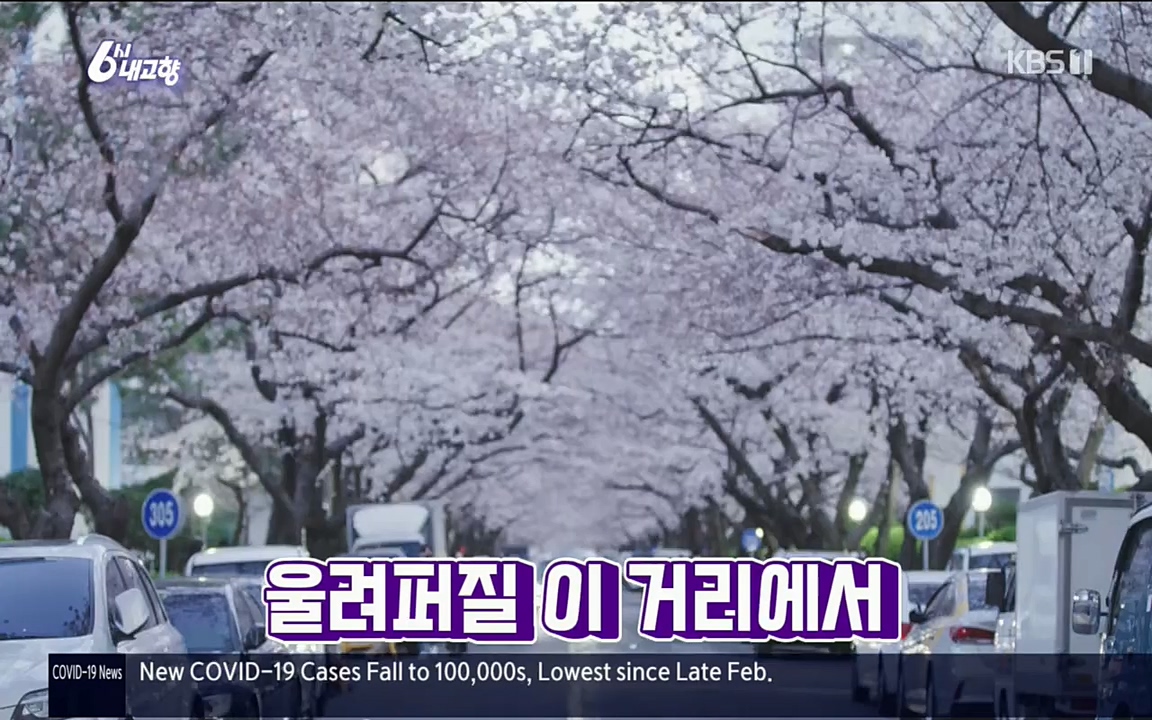 6시 내고향.E7503.220405p.H264-F1RST.mp4_20220405_182900.884.jpg
