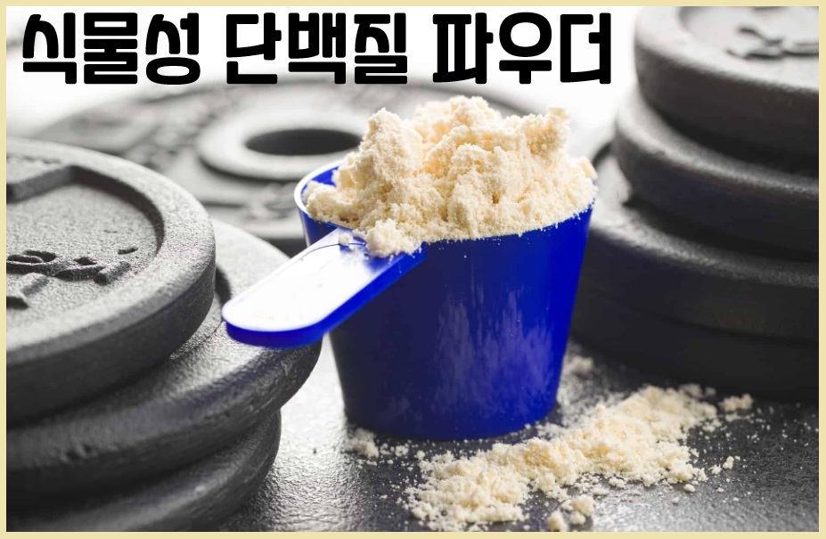 식물성 단백질 파우더