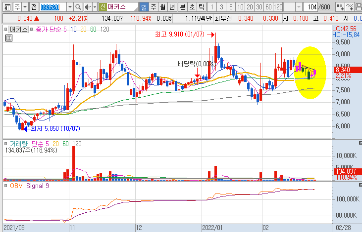 매커스-주가-흐름-차트