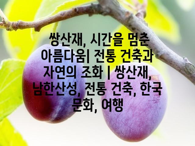 랜덤185