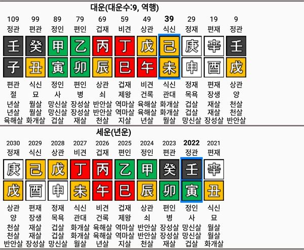 이병건_대운_세운