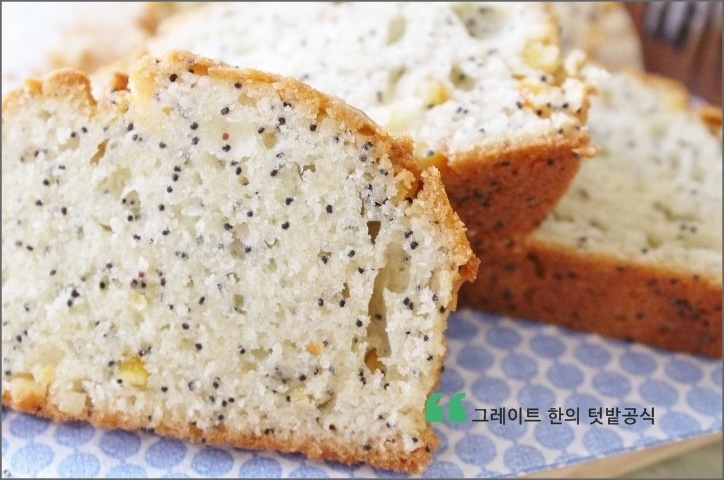  코스트코 대량 머핀 오래두고 맛있게 먹는 방법