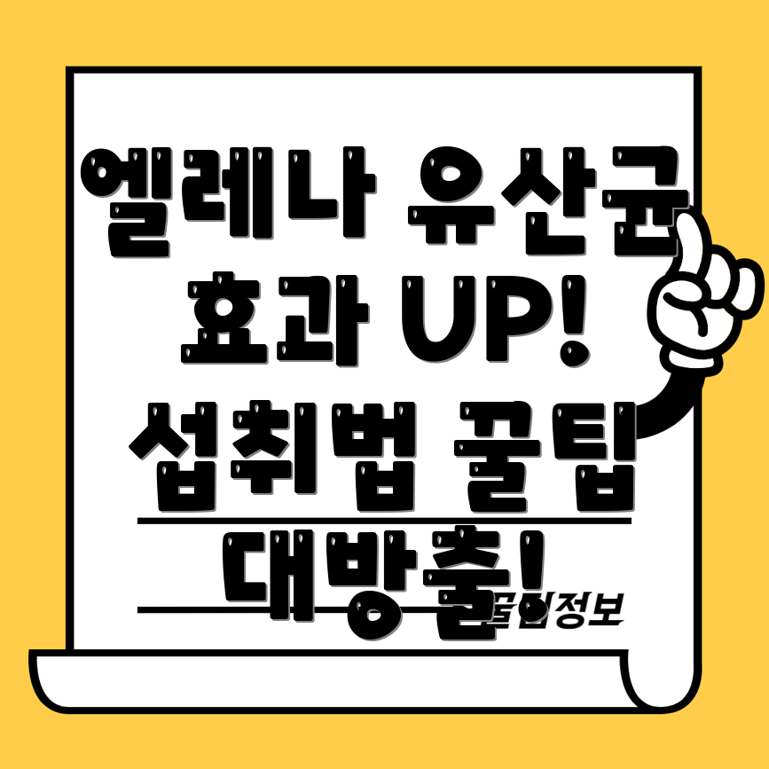 엘레나 유산균 효과