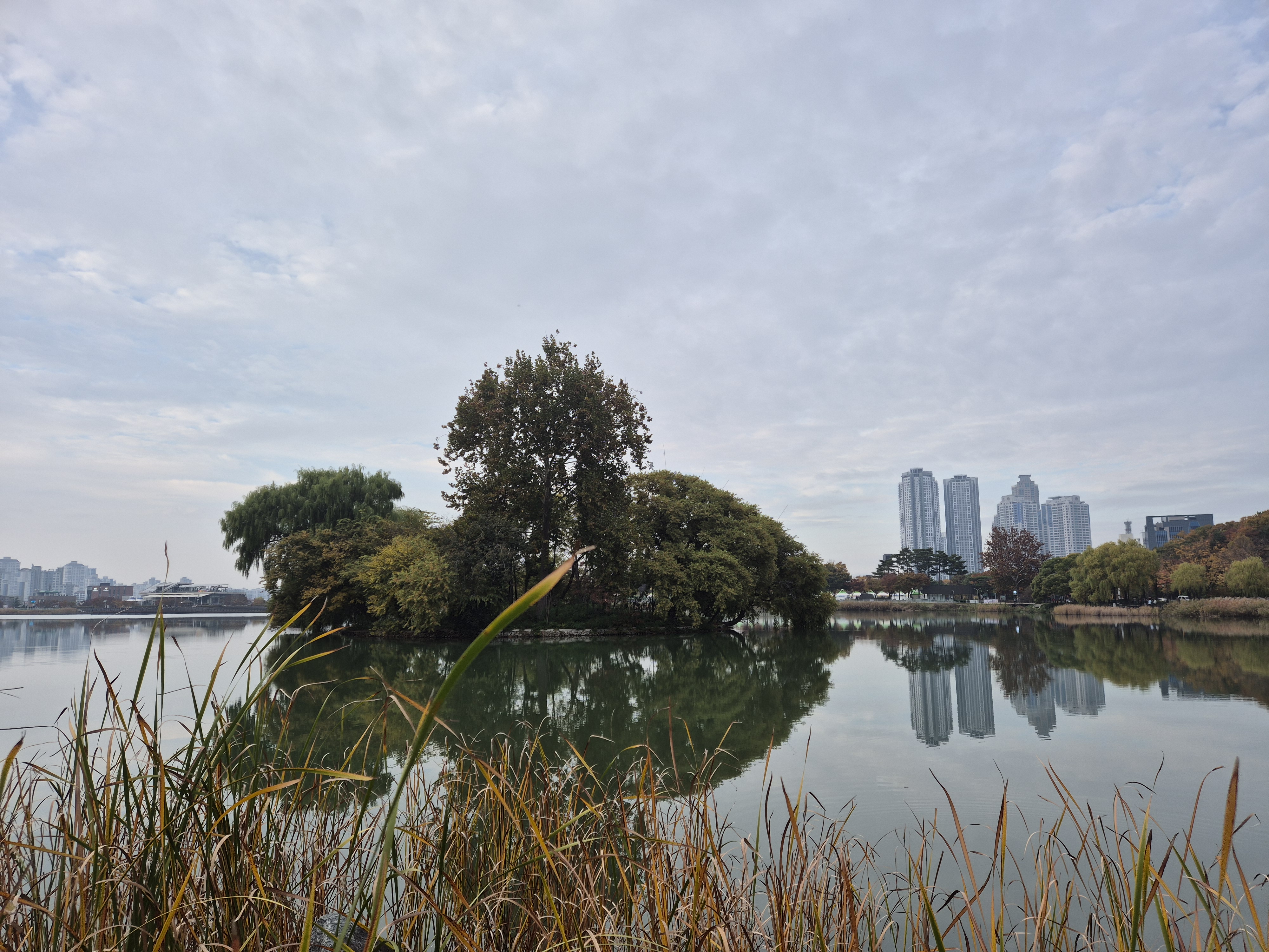 앞산공원 이미지