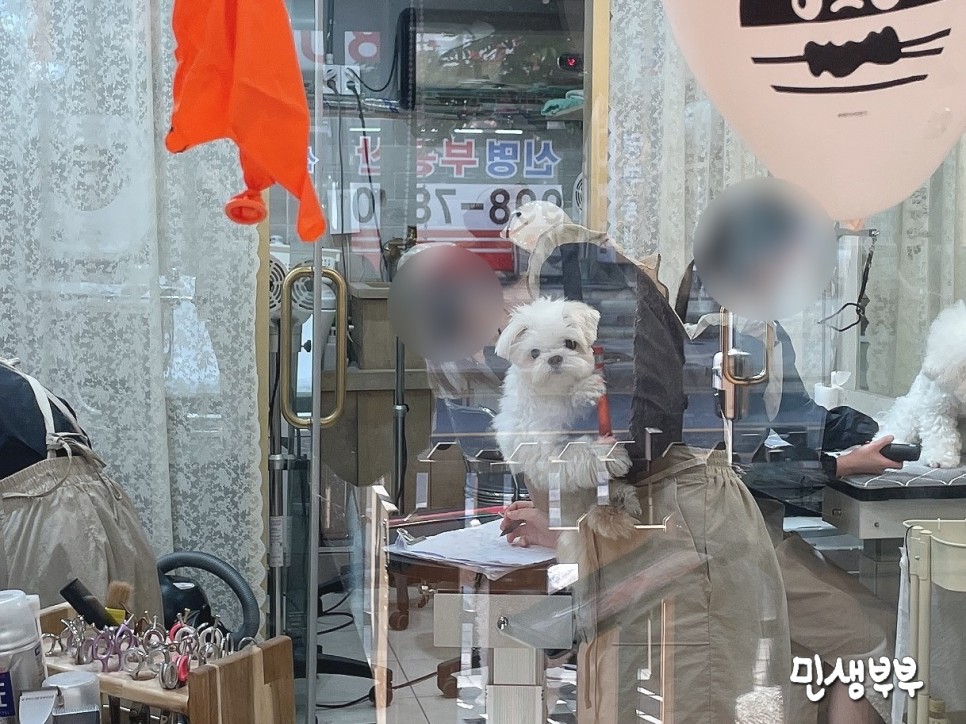 미용가위 전문샵 키스더도그 17